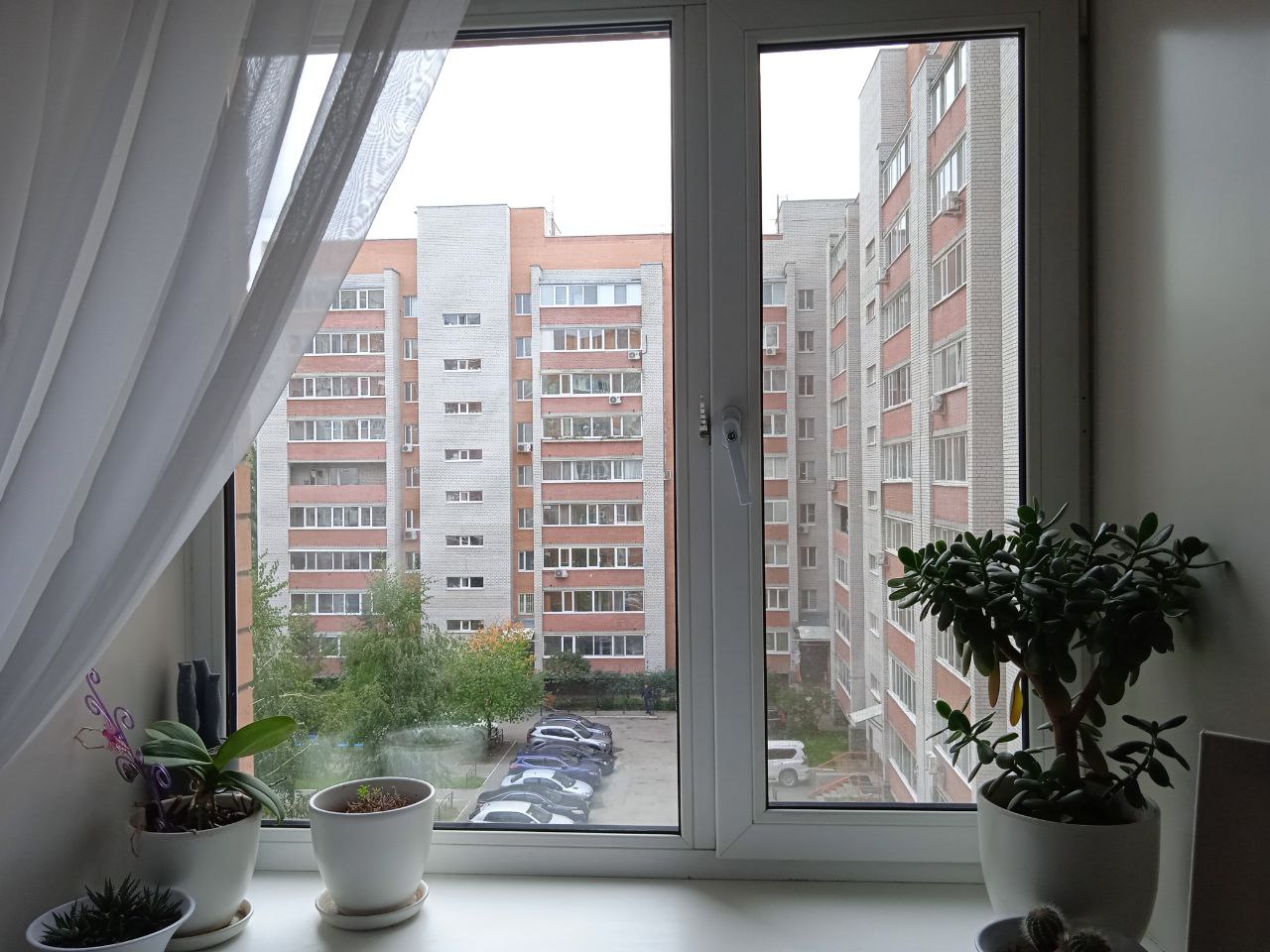 https://syktyvkar.delaem-okna.ru/storage/app/uploads/public/63f/331/482/63f331482975f325093091.jpg
