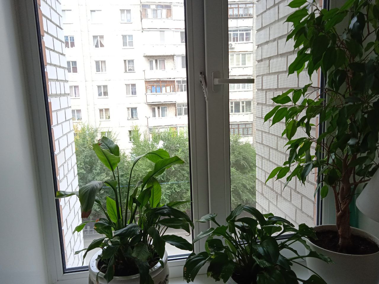 https://syktyvkar.delaem-okna.ru/storage/app/uploads/public/63f/332/8c0/63f3328c0d6f7867060515.jpg